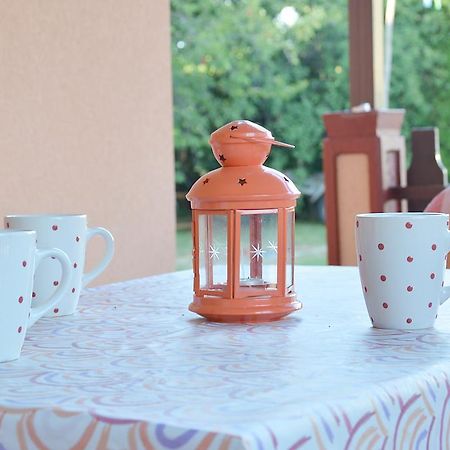 Apartament Giardino Umag Zewnętrze zdjęcie